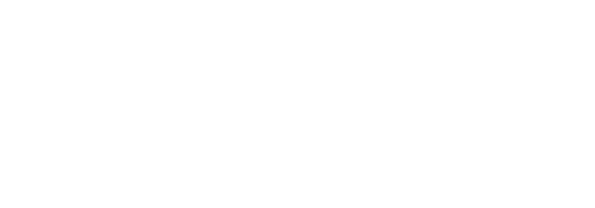 Formula E